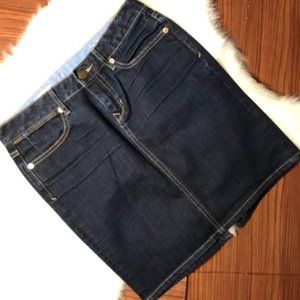GAP 1969 Pencil Denim Skirt Jeans in Dark Rinse